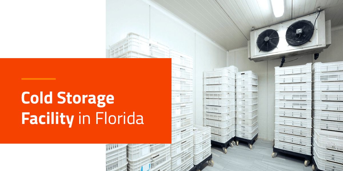 cold storage facility in florida- a warehouse cold storage room with crates