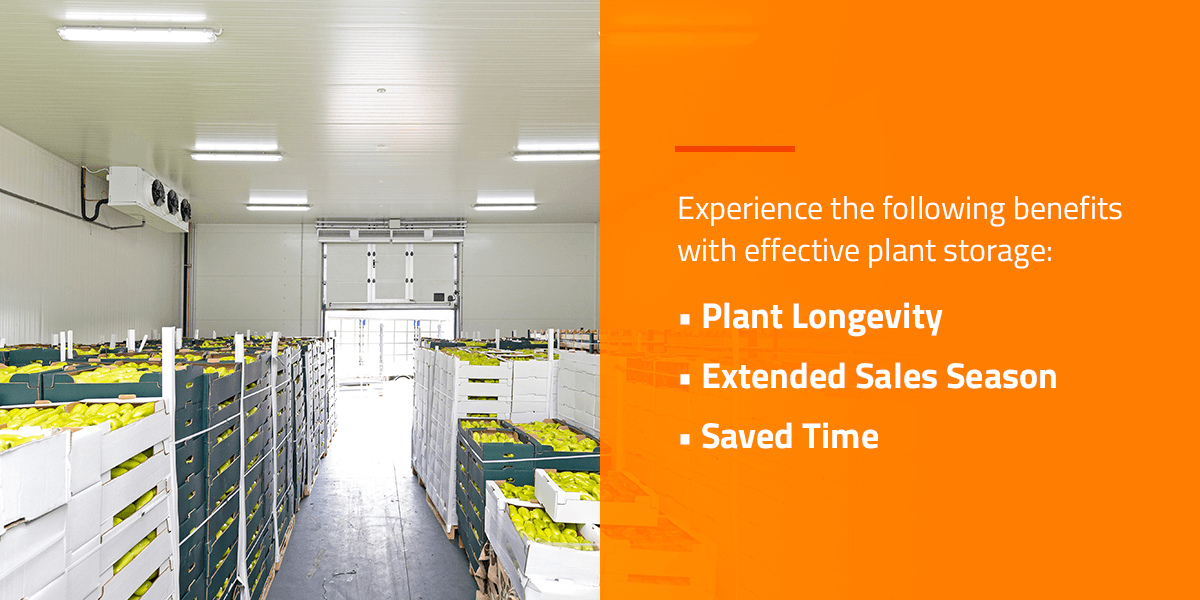 refrigerated storage unit, Specialists in controlled cold Storage